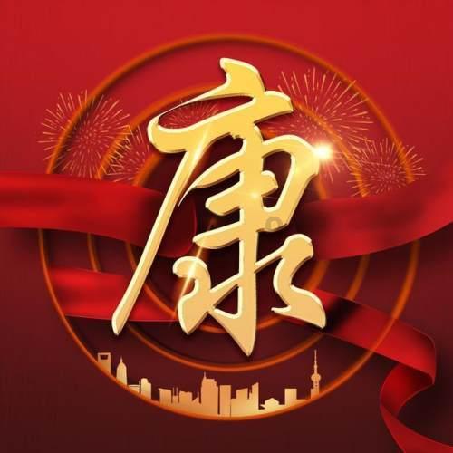 拿破仑：全面战争